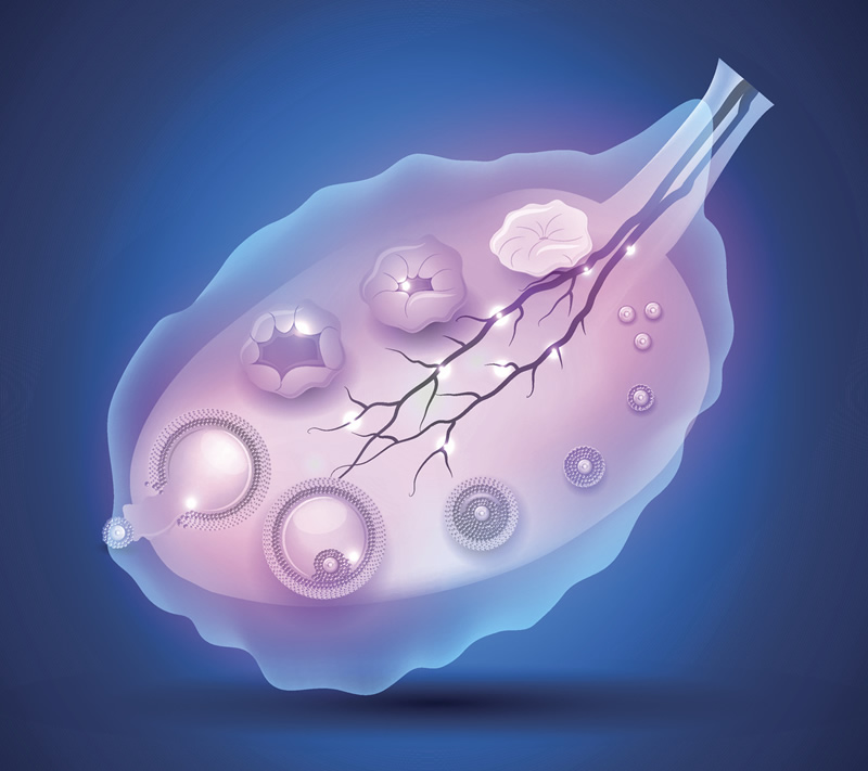 做个三代试管多胎价格是多少？附最新收费清单？